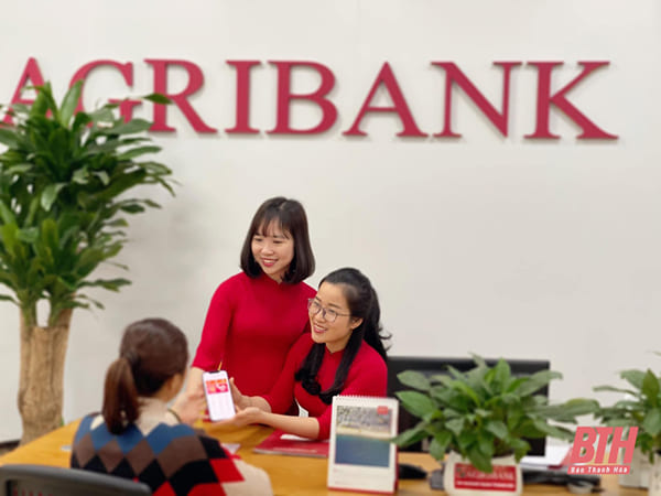 Vay the chap so do agribank 1